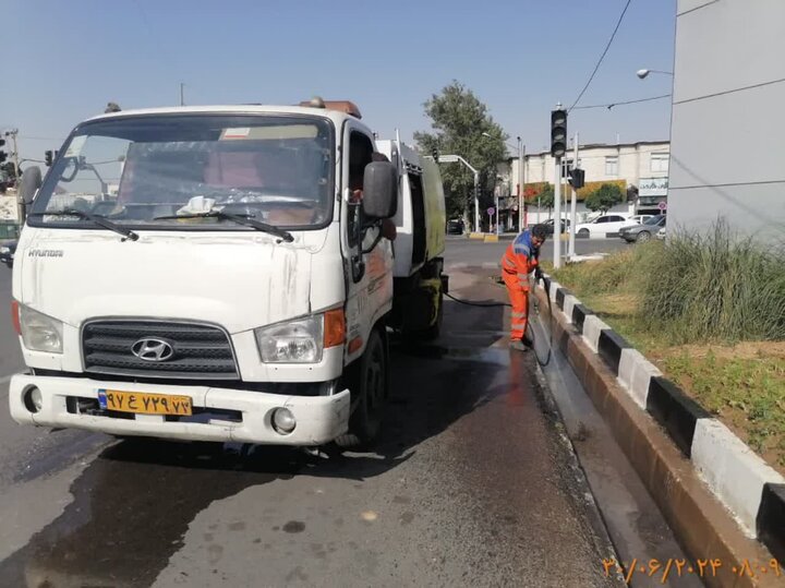 آغاز عملیات گسترده و ویژه سازمان مدیریت پسماند برای مقابله با پشه آئدس