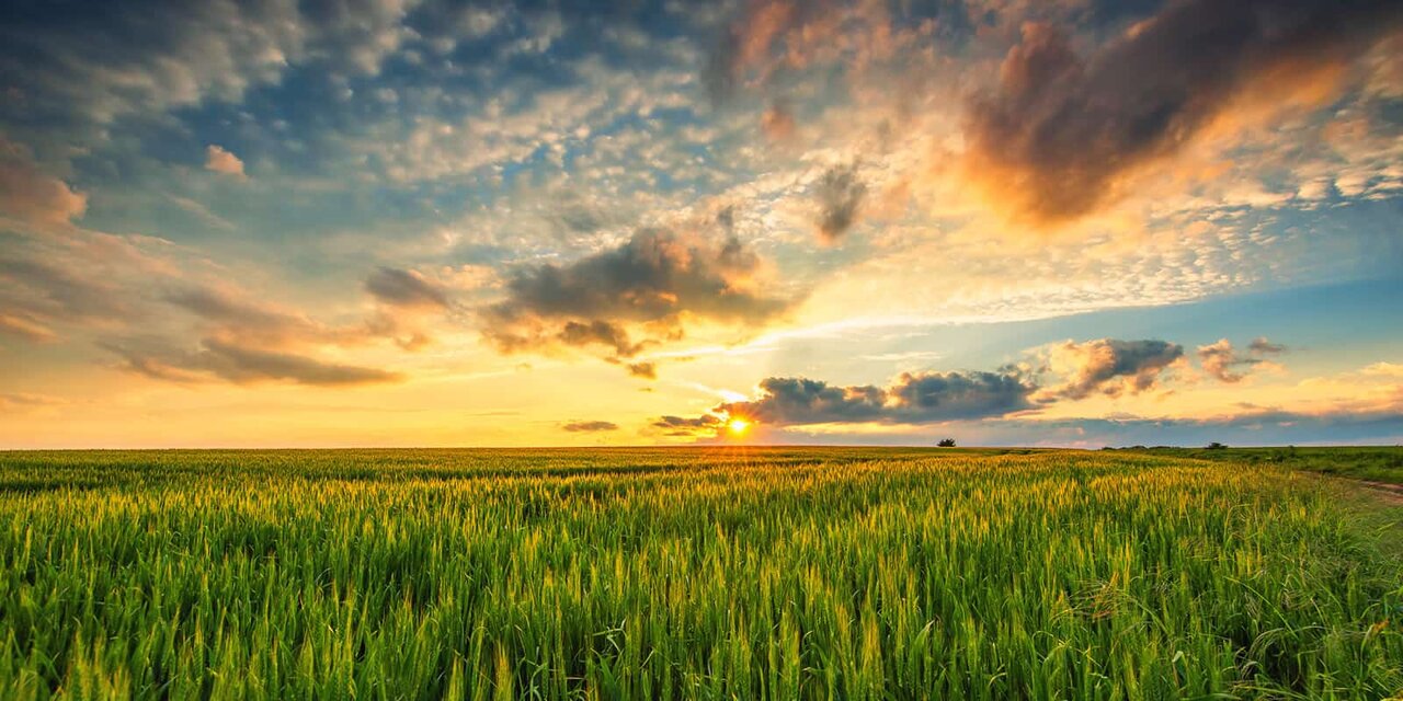 فصل تاخیر در تسویه حساب با خوشههای طلایی