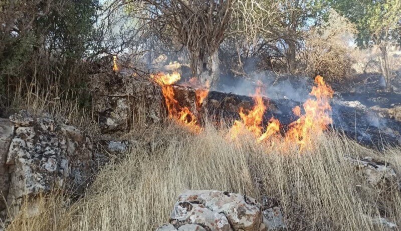 تشدید آتشسوزیهای جنگلی در جهان با افزایش تغییرات آبوهوایی