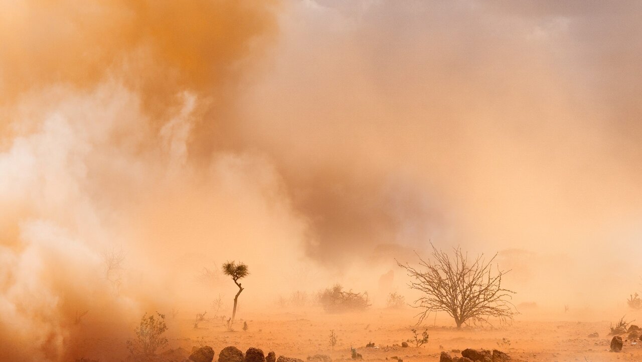 Sand and Dust Storms Threaten Sustainable Development