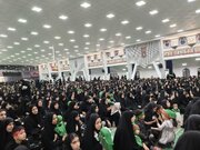 فیلم| شیرخوارگان حسینی در سنندج