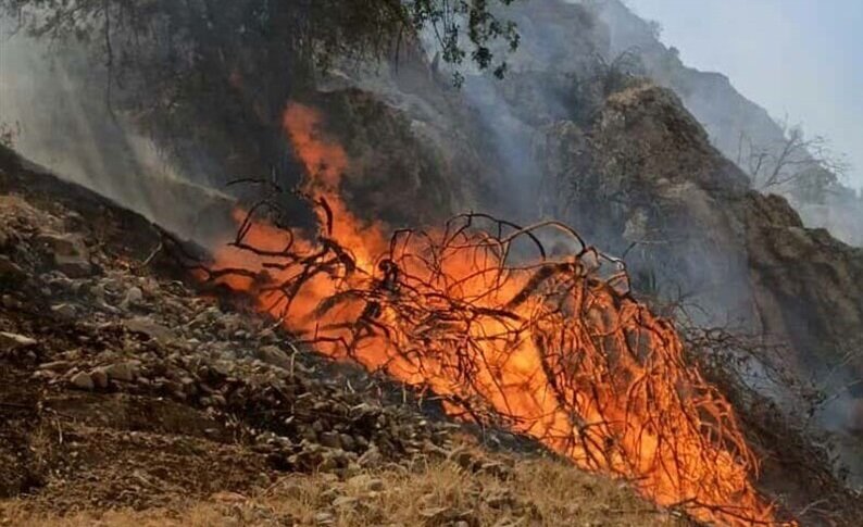آتش‌سوزی دوباره ارتفاعات چناره دره‌شهر مهار شد