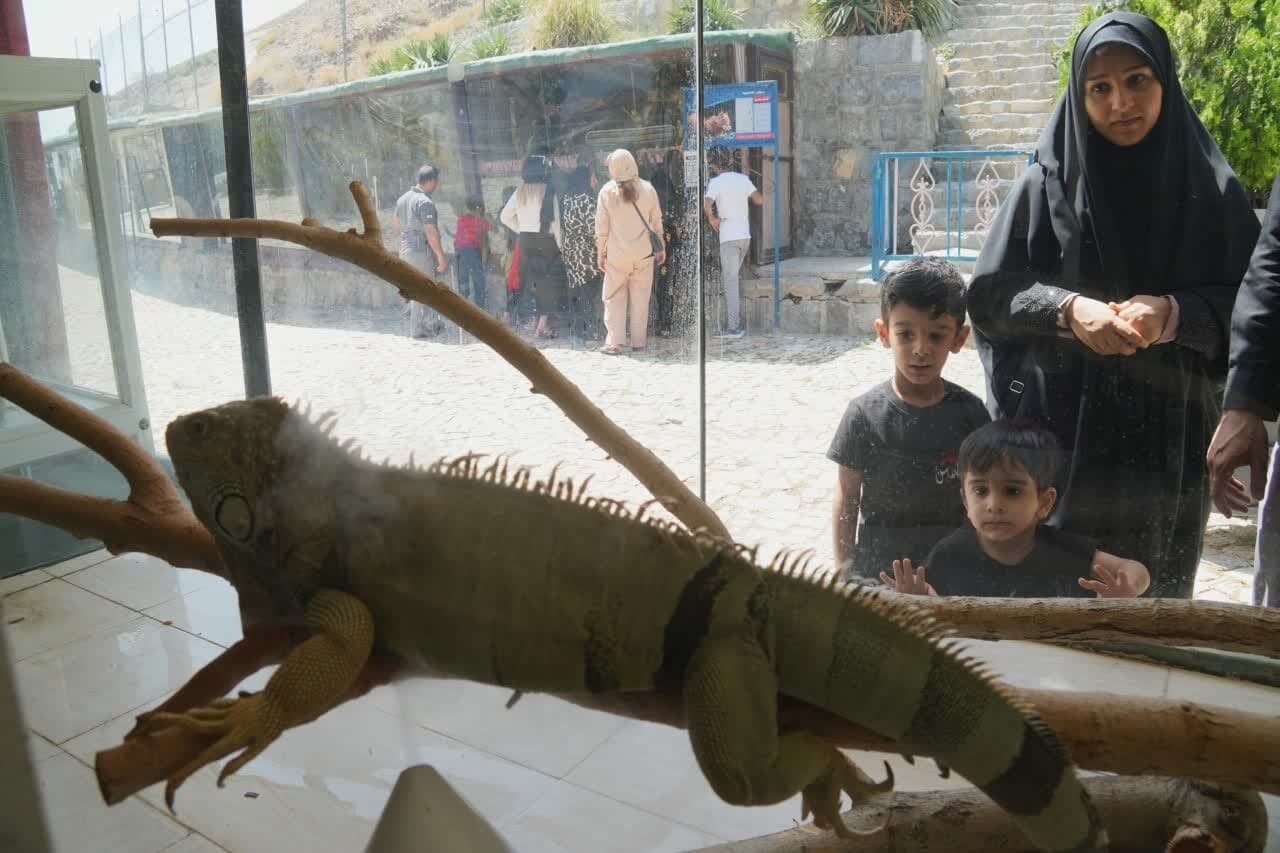 پارک آموزشی حیات وحش صفه جاذبه گردشگری و زیستمحیطی نصفجهان است