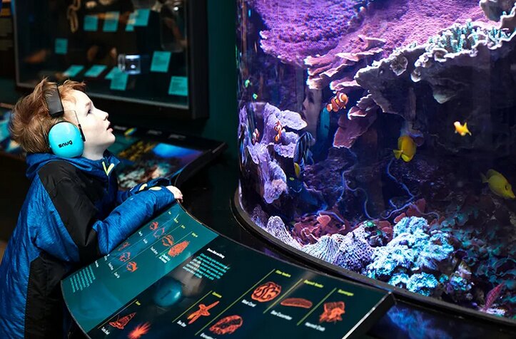 موزههای هوشمند راهی برای ترویج میراث فرهنگی در شهرها