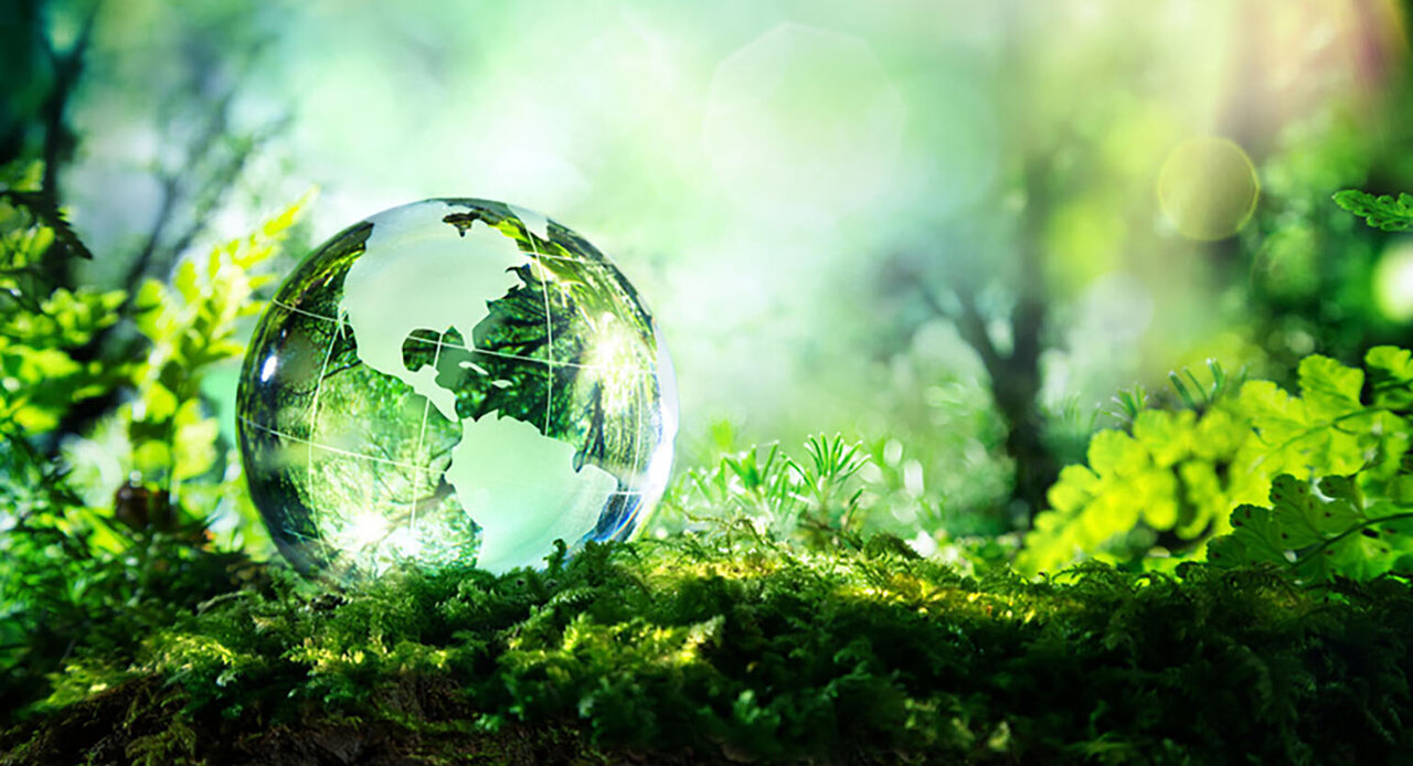 Power of Green English: Uniting the World to Combat Environmental Challenges