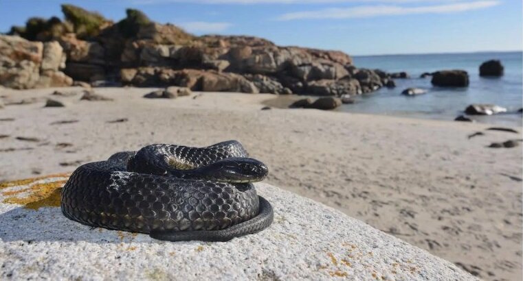 ترسناکترین جزایر جهان کجاست؟