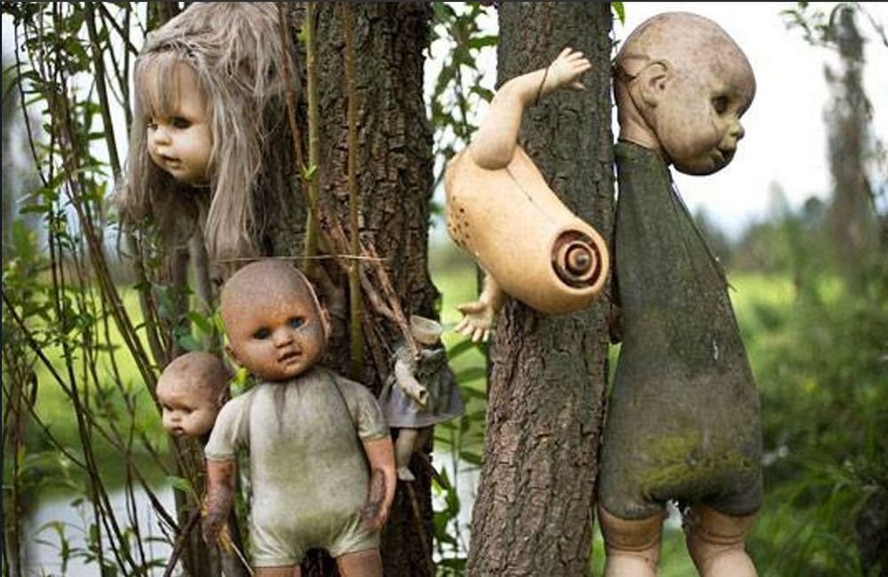 ترسناکترین جزایر جهان کجاست؟