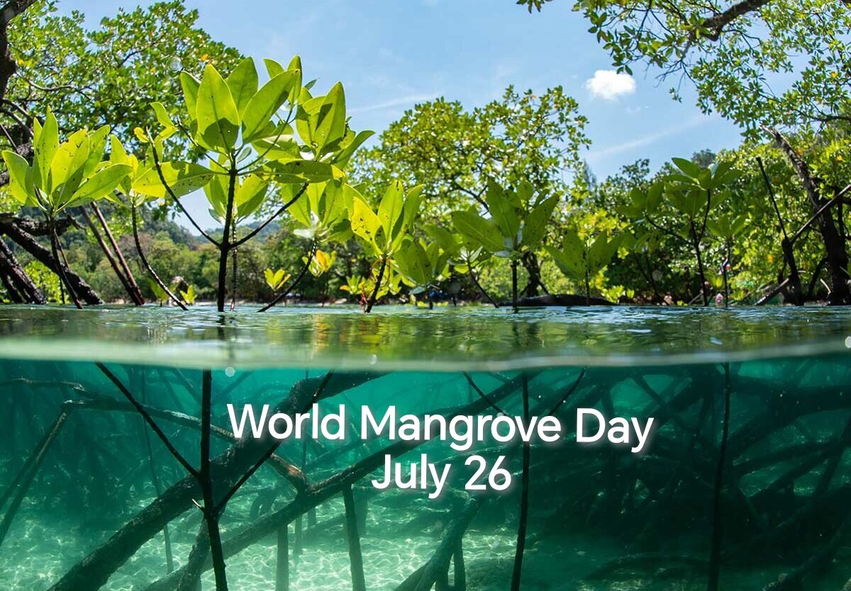 روز جهانی مانگرو World Mangrove Day + نقش جنگلهای مانگرو در حفاظت از حیات