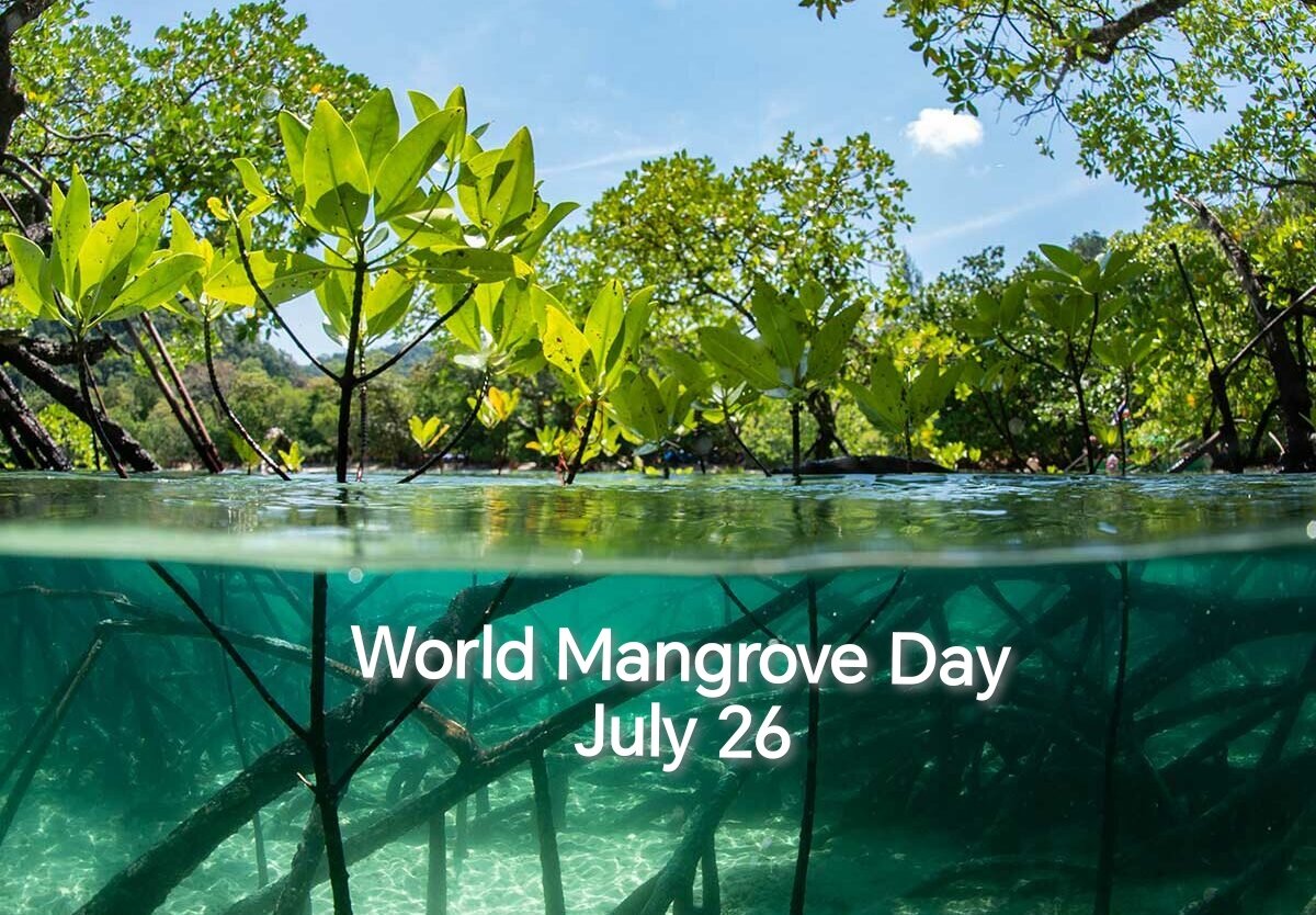 روز جهانی مانگرو World Mangrove Day + نقش جنگل‌های مانگرو در حفاظت از حیات