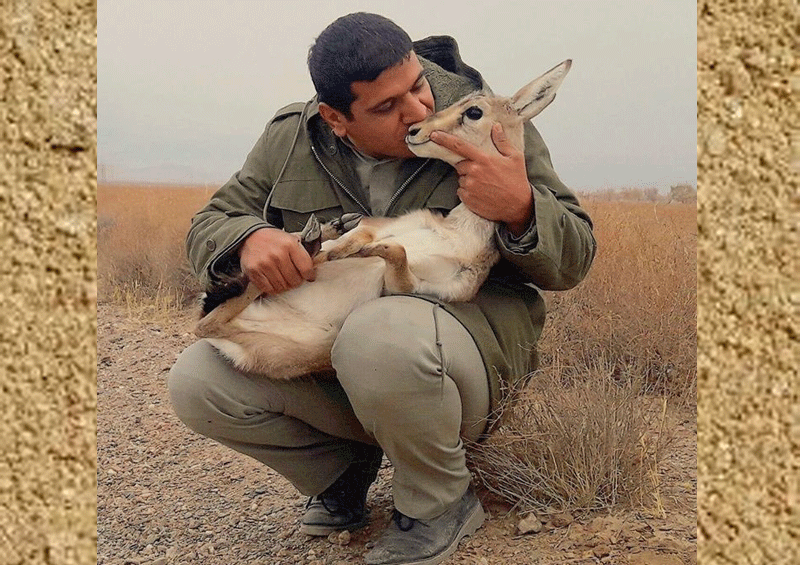 July 31: World Ranger Day Celebrates Courage and Sacrifice in  Name of Conservation