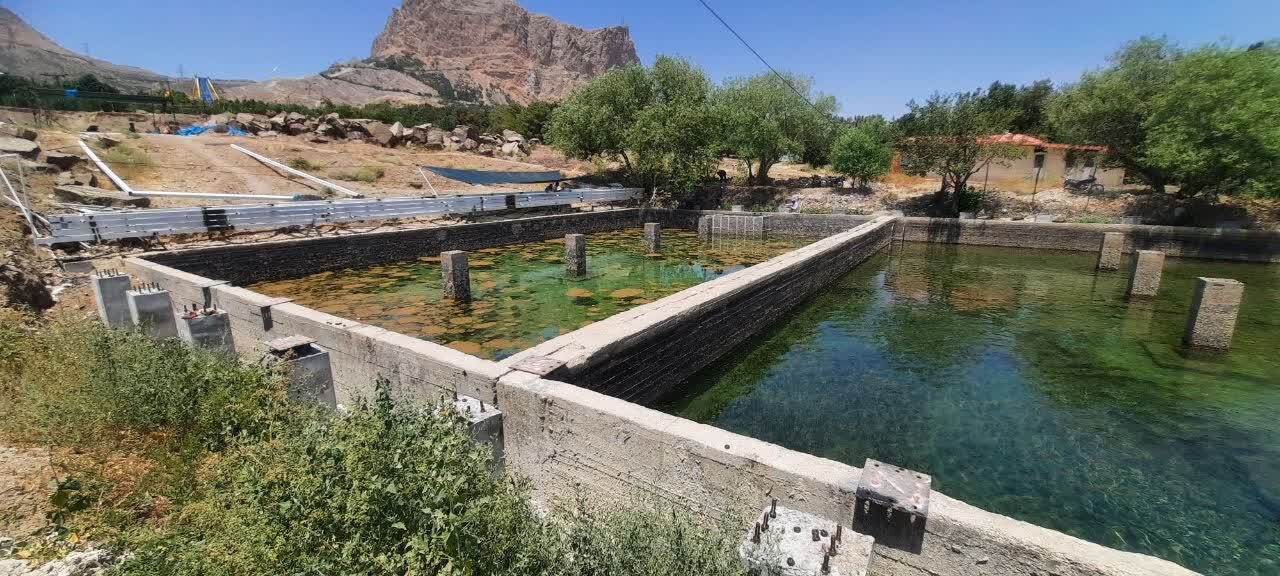 پیشرفت ۴۰ درصدی ایمنسازی مخازن آب فضای سبز پارک صفه