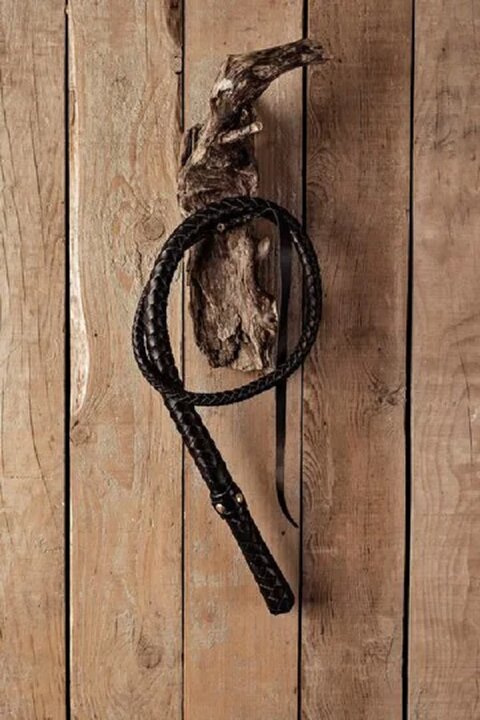 راهنمای خرید شلاق سوارکاری راهنمای خرید شلاق سوارکاری