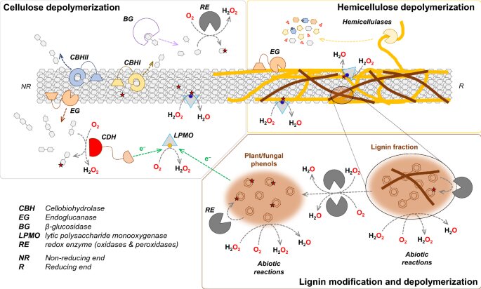 معضل زبالههای آلی و راهکارهایی خلاقانه در بازیافت آنها