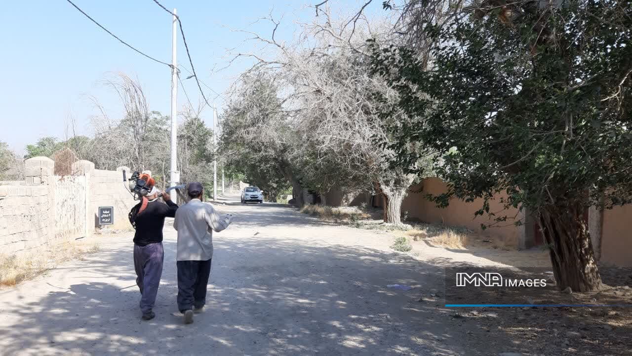 «منطقه ۶» منطقهای پرطرفدار و جوانپسند