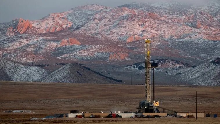 ۲۰۲۴؛ سال اخبار نویدبخش محیط زیستی