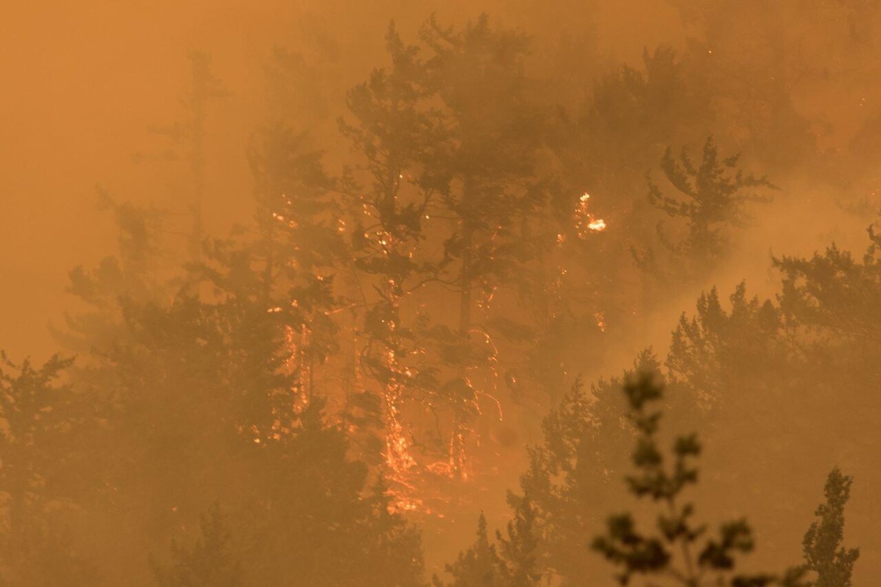 عواقب فاجعهبارآتشسوزیهای شدید بر شهرهای آسیایی