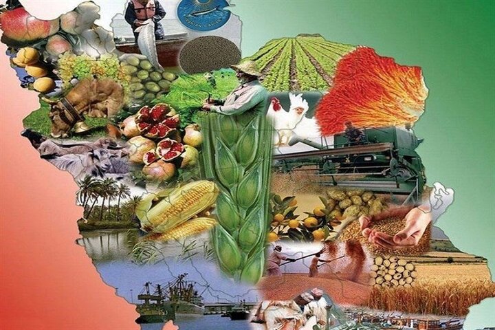 سند امنیت غذایی به دنبال افزایش تولید و کاهش سطح زیر کشت است