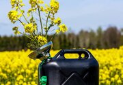 روز جهانی بیودیزل International Biodiesel Day+ شعار و تاریخچه