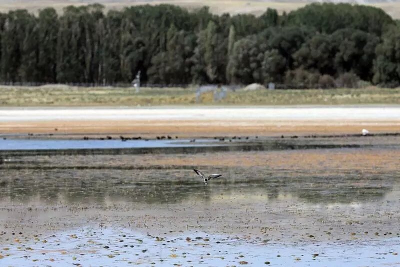 تالاب بینالمللی «قوریگل» چشمانتظار حمایت
