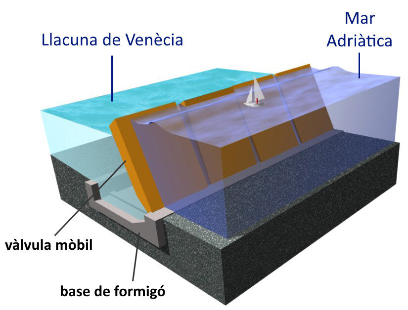 ونیز چگونه خود را از غرق شدن نجات میدهد؟