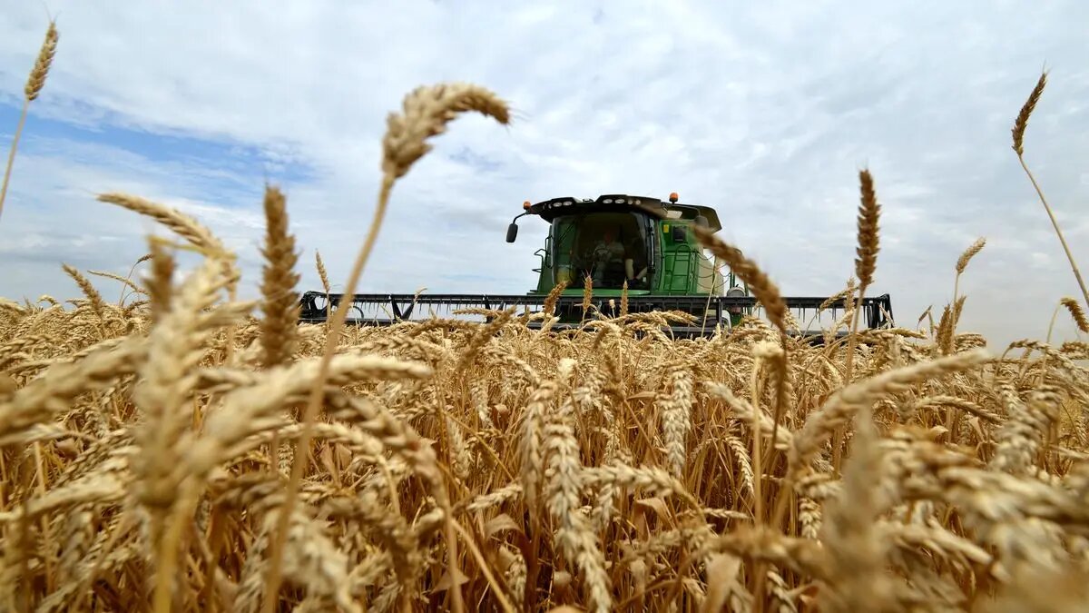 Iran's Agricultural Sector Achieves Major Growth Since Islamic Revolution