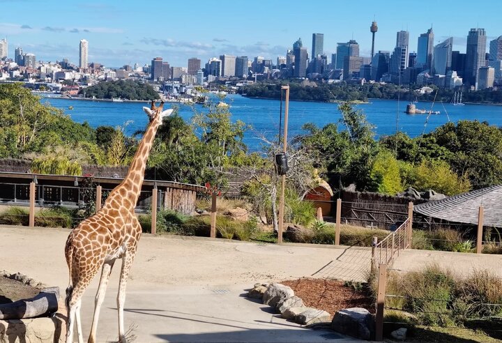 Striking Statistics on Immigration to Australia Striking Statistics on Immigration to Australia