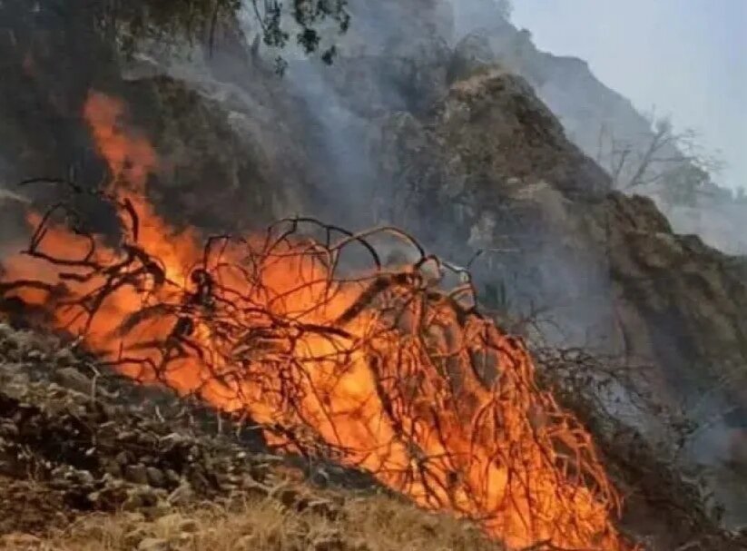 آتشسوزیهایی که بلای جان زاگرس شده است + فیلم