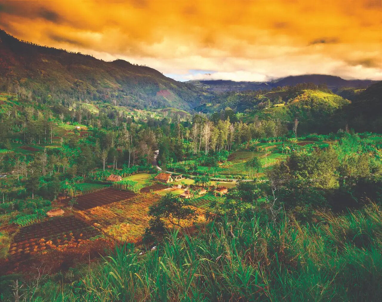 آشنایی با فرهنگ عجیب بومیان پاپوآ گینهنو