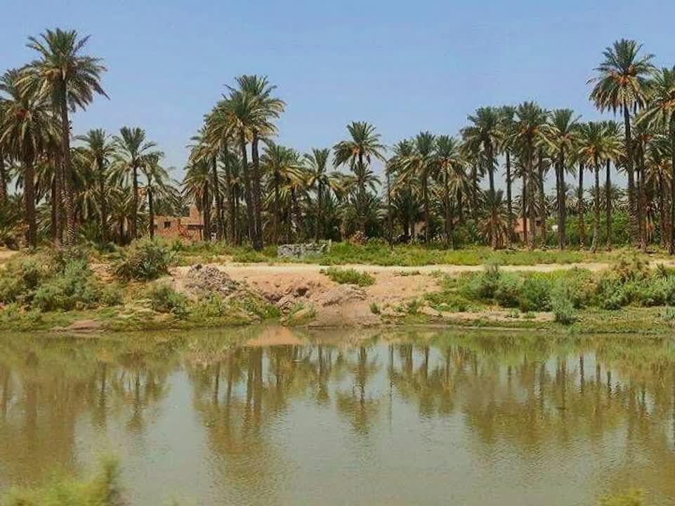 پای در مسیری پر پیچوخم به شوق حسین (ع)