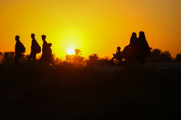 Arbaeen Walk: Journey Through Faith, Devotion