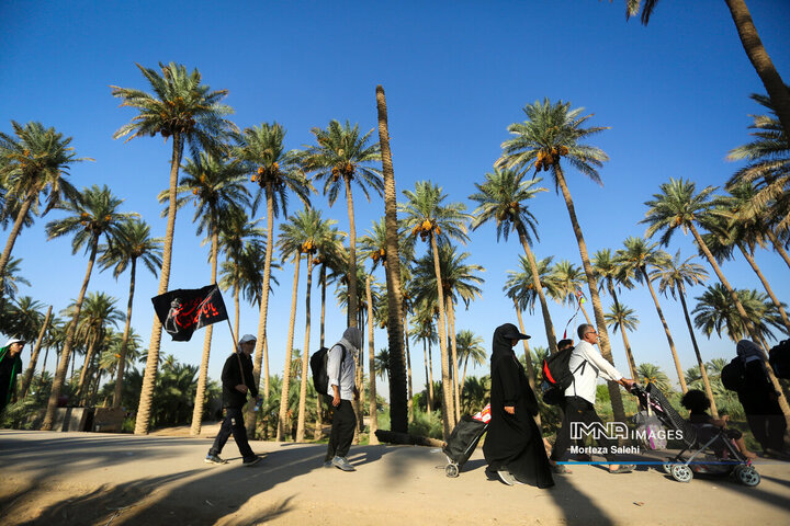 Arbaeen Walk: Journey Through Faith, Devotion