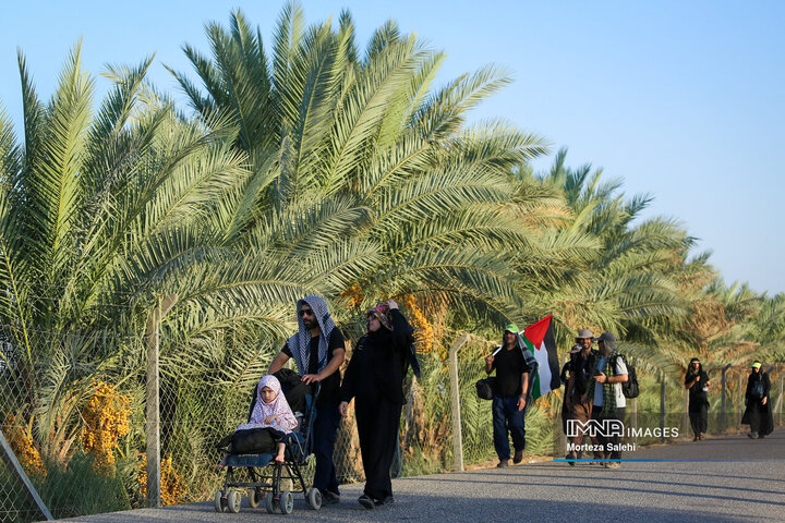 Arbaeen Walk: Journey Through Faith, Devotion