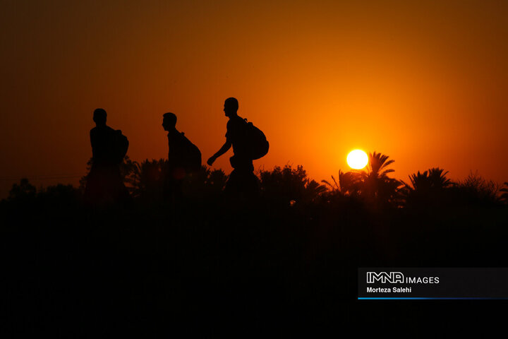 Arbaeen Walk: Journey Through Faith, Devotion