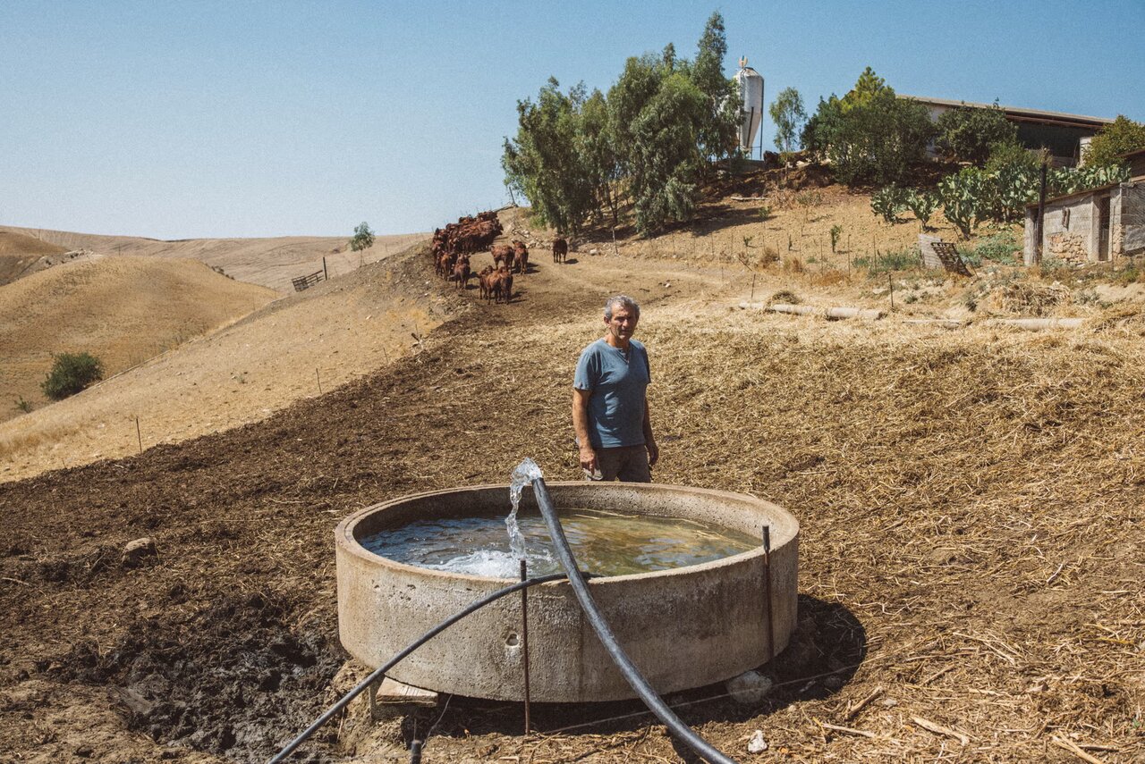 میراث کشاورزی بزرگترین جزیره مدیترانه روبهنابودی