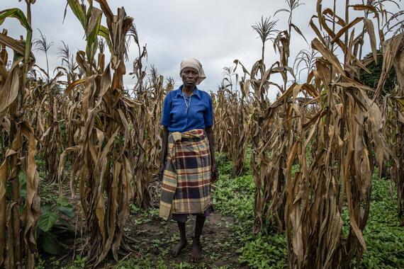آثار منفی المپیک ۲۰۲۴ بر درآمد پاریس / تشویق آلمانیها برای مهاجرت به روستا