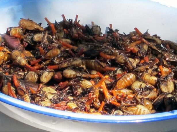 عجیب ترین غذاهای دنیا