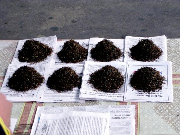 عجیب ترین غذاهای دنیا