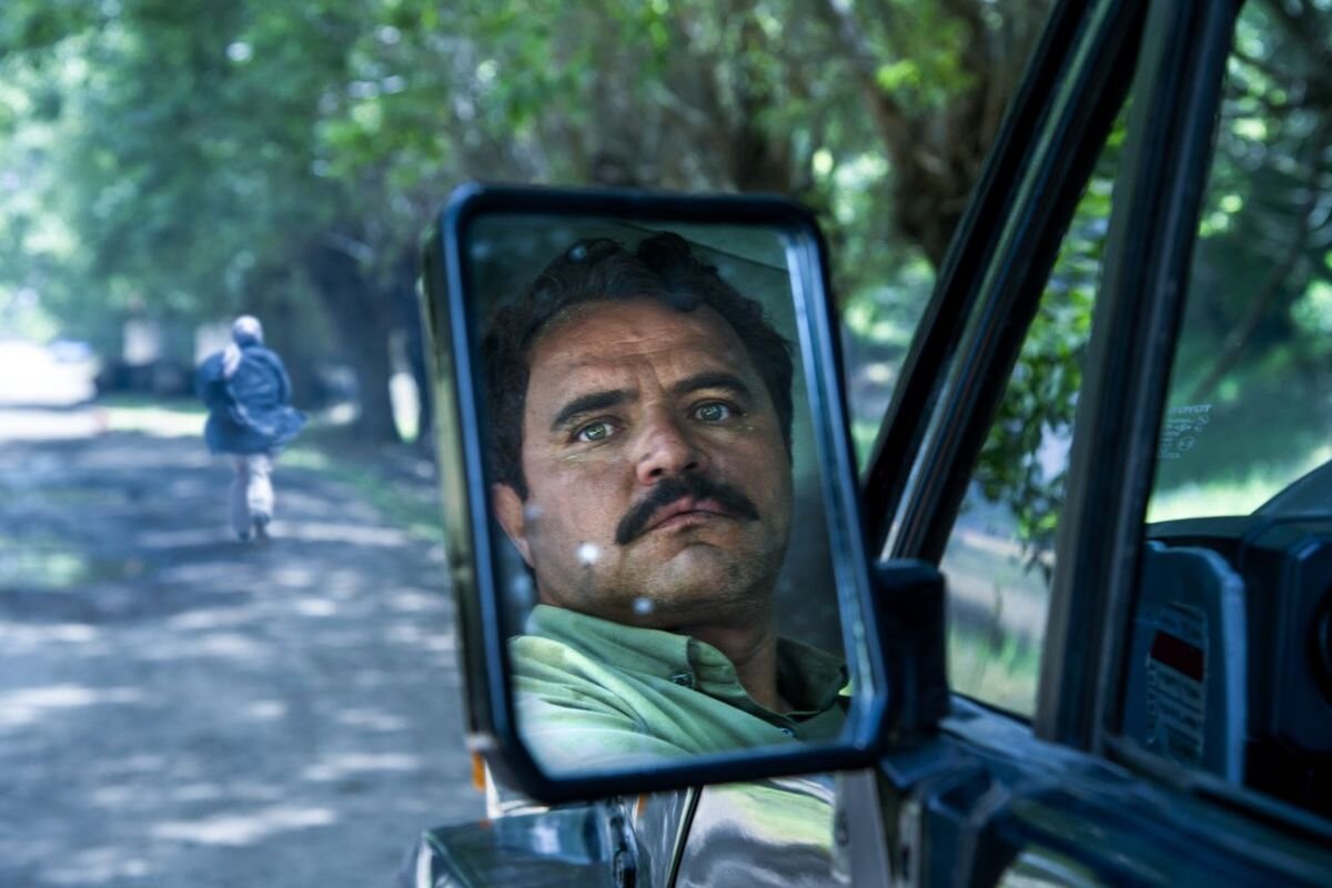 «در آغوش درخت»؛ فیلمی که به مخاطب احترام میگذارد