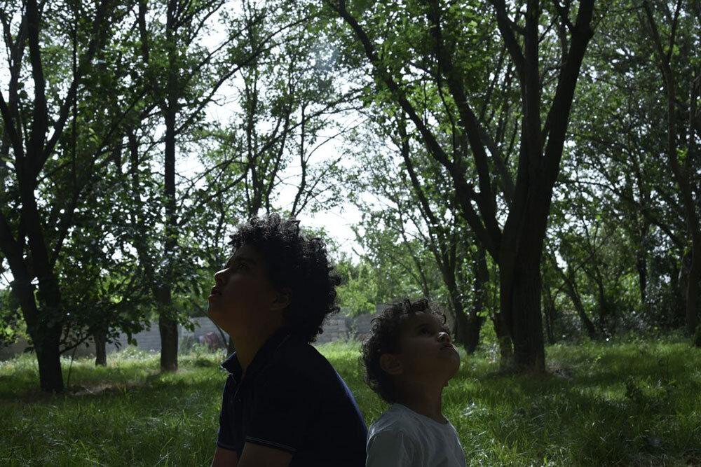 «در آغوش درخت»؛ فیلمی که به مخاطب احترام میگذارد