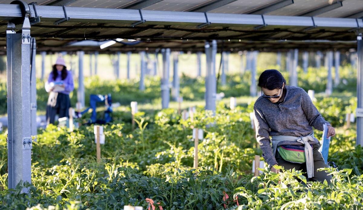 حمایت از کسبوکارهای کوچک لازمه رونق شهری