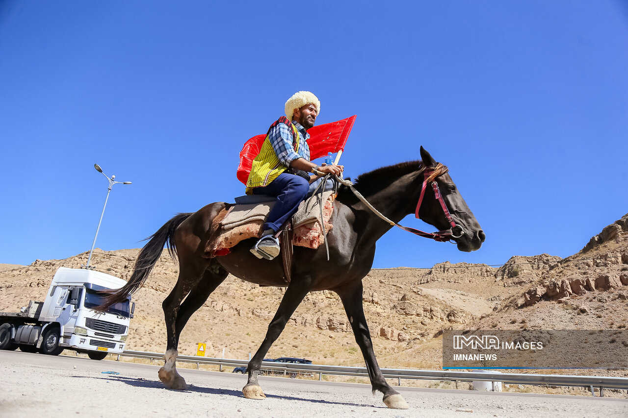 مسیر رونق صنعت اسب، فرصتی که نباید از دست برود