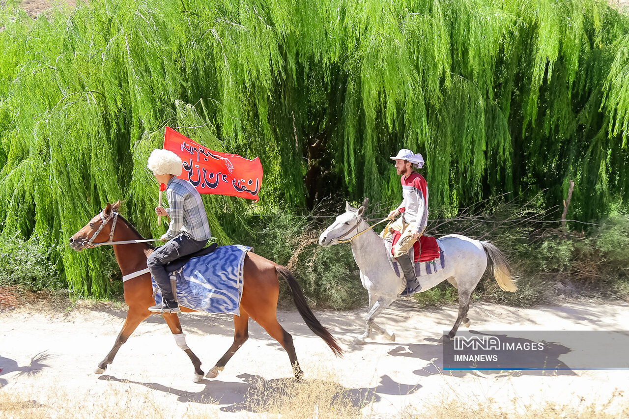 مسیر رونق صنعت اسب، فرصتی که نباید از دست برود