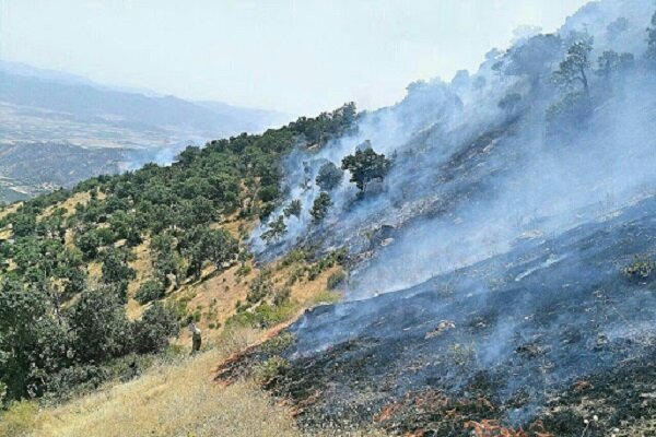 میراث منحوس تابستانی داغ برای منابع طبیعی