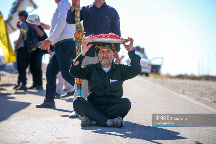 زائران پیاده امام رضا (ع)