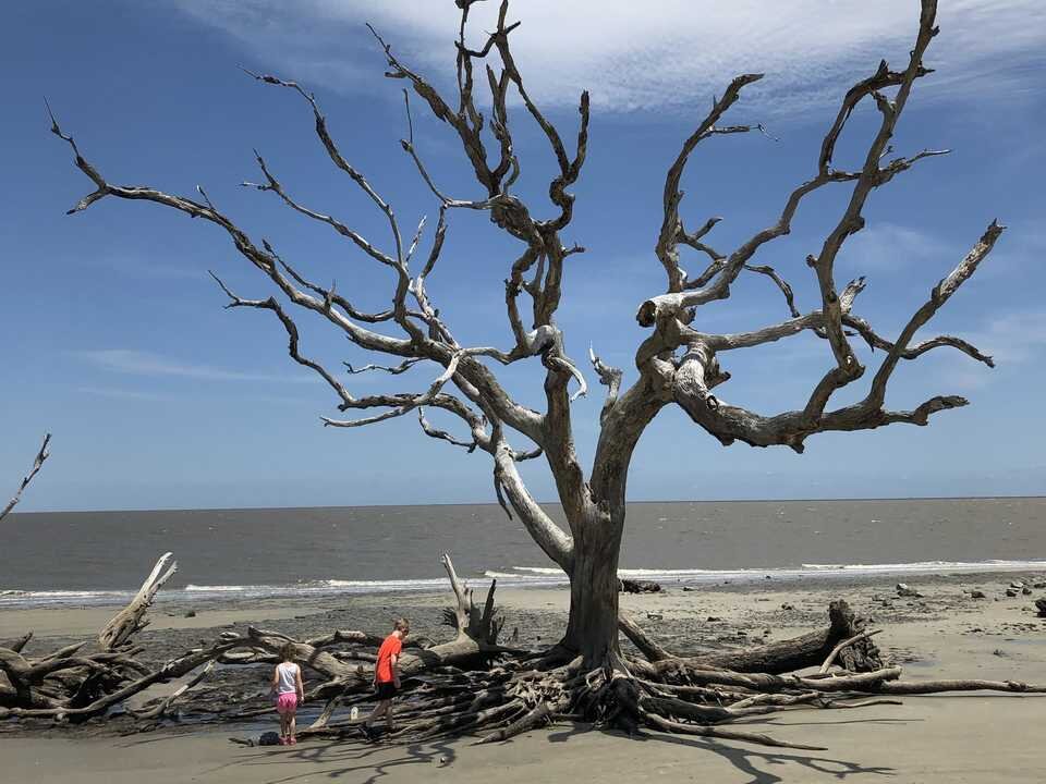 ترویج نقلمکان به روستاها و مشوقهای مالی دولتها