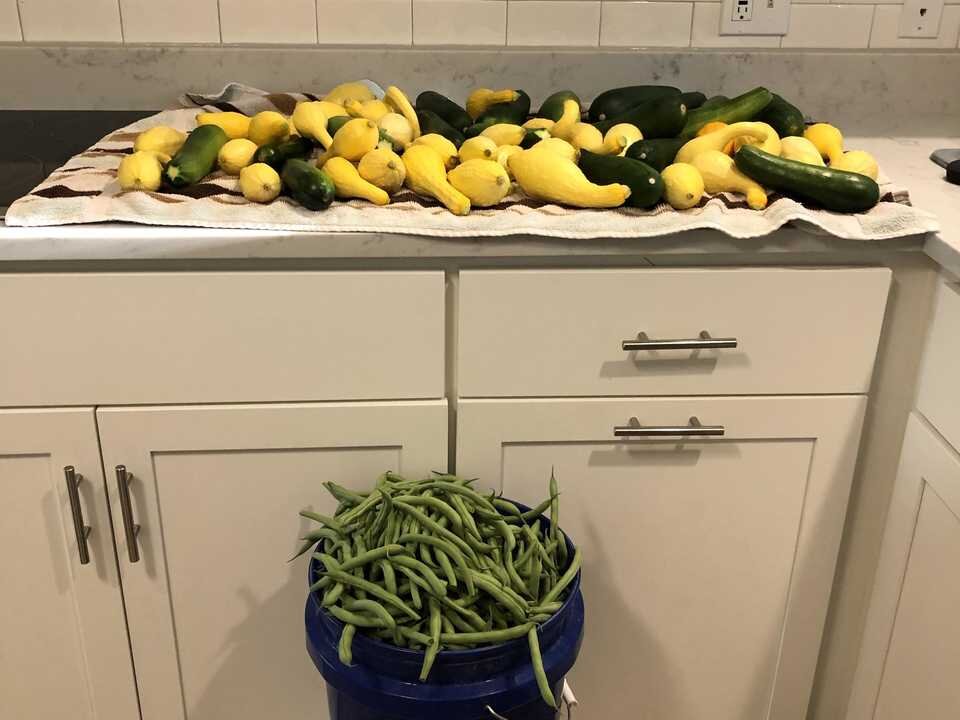 ترویج نقلمکان به روستاها و مشوقهای مالی دولتها