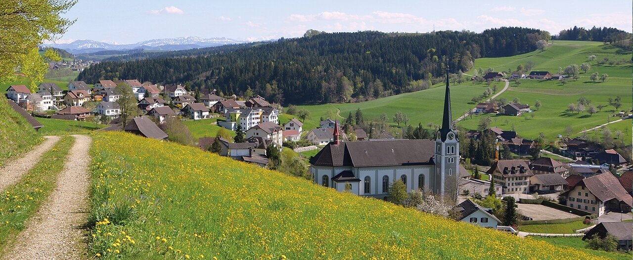 ترویج نقلمکان به روستاها و مشوقهای مالی دولتها