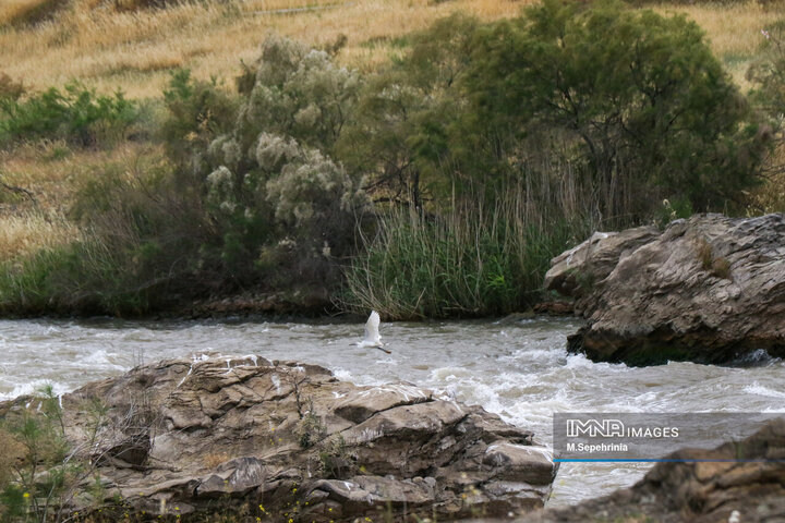 Aras River