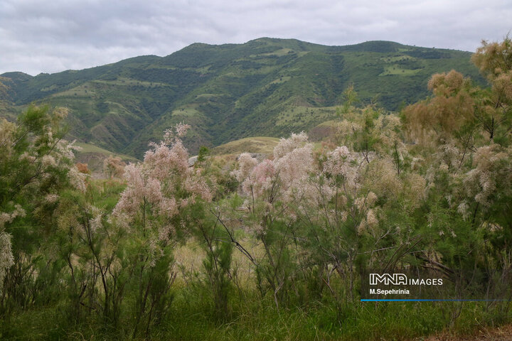 Aras River