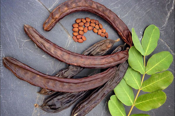 خرنوب چیست؟ + خواص خرنوب